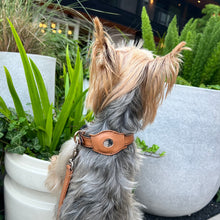 Load image into Gallery viewer, dog wearing a leather collar with matching AirTag holder